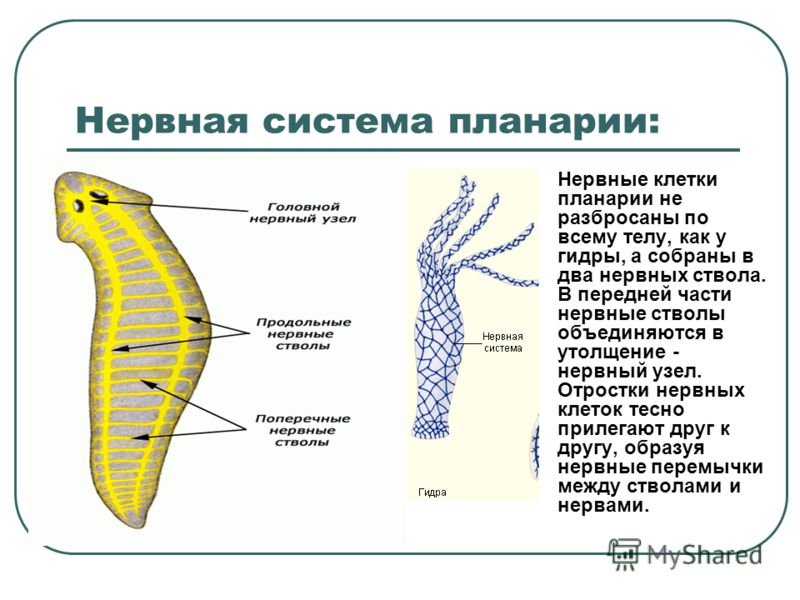 Кракен сайт продаж