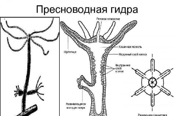 Кракен маркетплейс что там