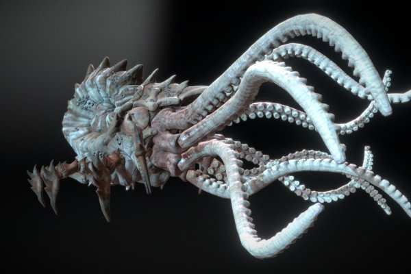 Кракен вход krakens13 at
