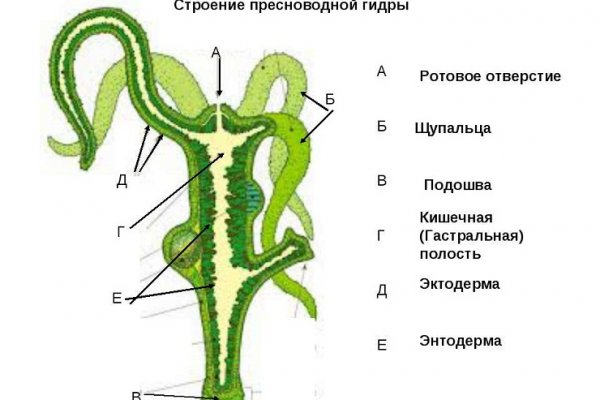 Работающий сайт кракен