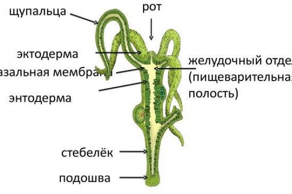 Kraken официальный сайт kraken11